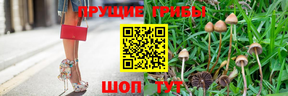 Псилоцибиновые грибы Magic Shrooms  Вход с VPN  как найти   Жигулёвск  Псилоцибиновые грибы Psilocybe 